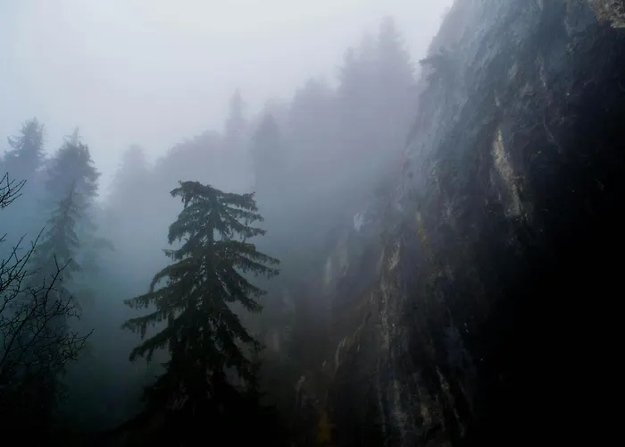 Deluxe House Glavatarski Hotel *